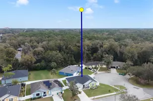 113 Plumosus Park Dr, Deland, FL 32724 - Photo 33