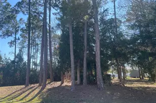 60 Birchwood Dr, Palm Coast, FL 32137 - Photo 1