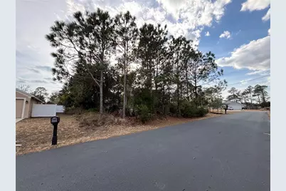 4 Royal Leaf Lane, Palm Coast, FL 32164 - Photo 3