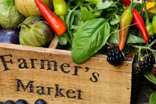 101 Palm Harbor Pkwy, Palm Coast, FL 32137 - Photo 13