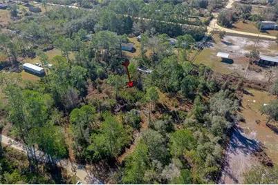 33150 Forest Ridge Road, Deland, FL 32720 - Photo 5