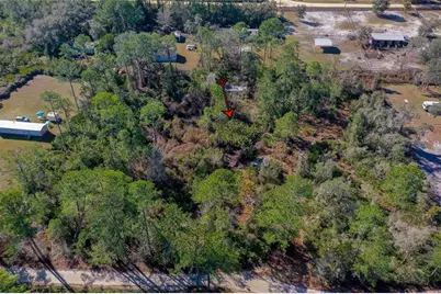 33150 Forest Ridge Road, Deland, FL 32720 - Photo 3