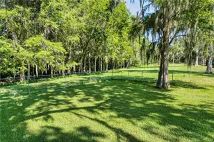 14 Black Oak Ct, Palm Coast, FL 32137 - Photo 29