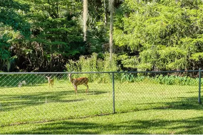 14 Black Oak Court, Palm Coast, FL 32137 - Photo 25