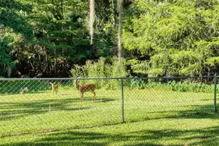 14 Black Oak Ct, Palm Coast, FL 32137 - Photo 25