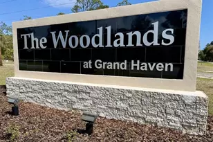 14 Black Oak Ct, Palm Coast, FL 32137 - Photo 61