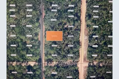 X Theresa Avenue, Interlachen, FL 32148 - Photo 1