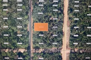 X Theresa Ave, Interlachen, FL 32148 - Photo 1