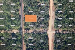 Xx Theresa Ave, Interlachen, FL 32148 - Photo 1