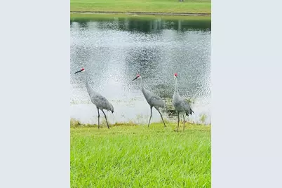 7 Reybell Ln, Palm Coast, FL 32164 - Photo 3