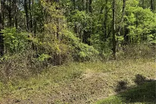 10140 Yeager Ave, Hastings, FL 32145 - Photo 1