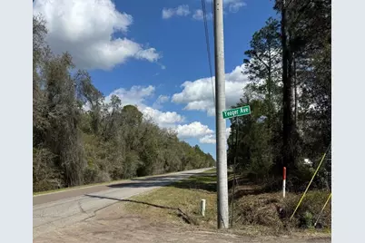 10140 Yeager Avenue, Hastings, FL 32145 - Photo 3