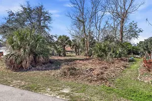 35 Coral Reef Ct N, Palm Coast, FL 32137 - Photo 1