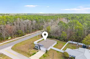 118 Karas Trail, Palm Coast, FL 32164 - Photo 31