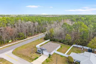 118 Karas Trail, Palm Coast, FL 32164 - Photo 33