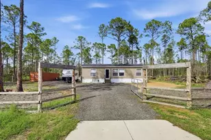 5846 Mahogany Blvd, Bunnell, FL 32110 - Photo 1