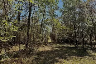 3425 NW 156th Ave, Gainesville, FL 32609 - Photo 43