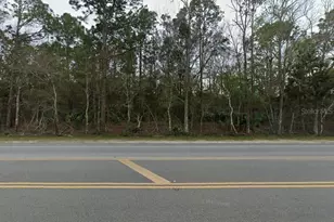 439 Co Rd 13, Bunnell, FL 32110 - Photo 1