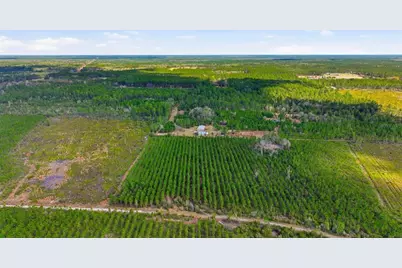 299 Cayenne Street, Interlachen, FL 32148 - Photo 57