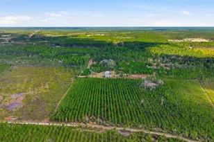 299 Cayenne St, Interlachen, FL 32148 - Photo 57