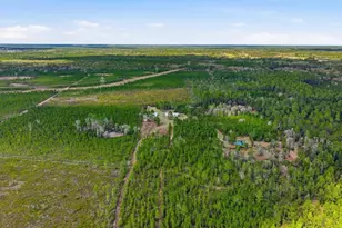 299 Cayenne St, Interlachen, FL 32148 - Photo 55