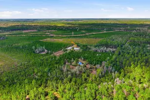 299 Cayenne St, Interlachen, FL 32148 - Photo 53