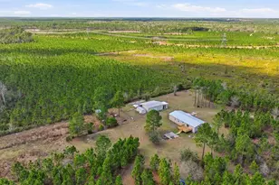 299 Cayenne St, Interlachen, FL 32148 - Photo 71