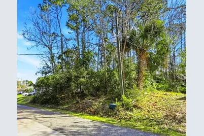 40 Brushwood Lane, Palm Coast, FL 32137 - Photo 1