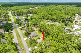 57 Sleepy Hollow Trail, Palm Coast, FL 32164 - Photo 37