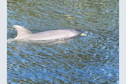 21 Corona Court, Palm Coast, FL 32137 - Photo 57