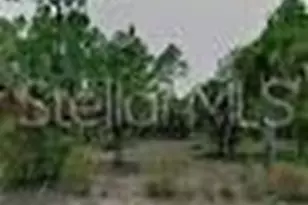 34 Pine Crest Ln, Palm Coast, FL 32164 - Photo 1