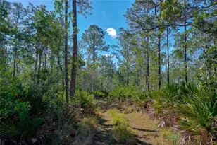 330 Damascus Rd, Deland, FL 32724 - Photo 21