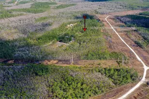 330 Damascus Rd, Deland, FL 32724 - Photo 9