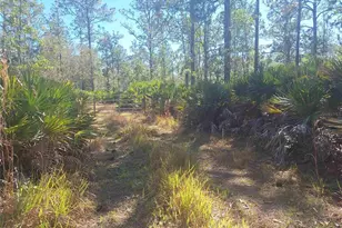 330 Damascus Rd, Deland, FL 32724 - Photo 23