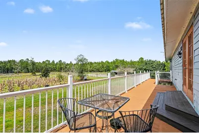 980 Still Road, Pierson, FL 32180 - Photo 25