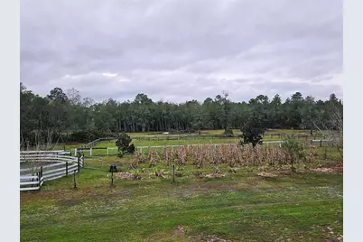 980 Still Road, Pierson, FL 32180 - Photo 41