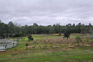 980 Still Rd, Pierson, FL 32180 - Photo 41