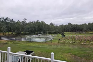 980 Still Rd, Pierson, FL 32180 - Photo 39