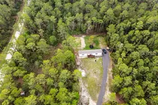 5631 Ironwood Ave, Bunnell, FL 32110 - Photo 23