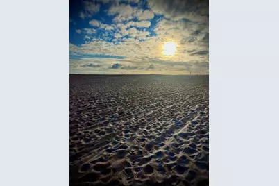 19 Mahoe Drive N, Palm Coast, FL 32137 - Photo 35