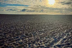 19 Mahoe Dr N, Palm Coast, FL 32137 - Photo 35