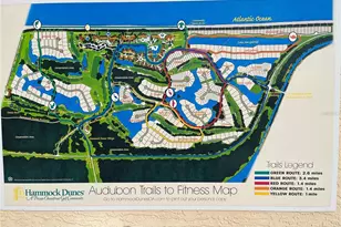 11 Laguna Ct, Palm Coast, FL 32137 - Photo 59