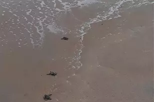 123 Arena Lake Dr, Palm Coast, FL 32137 - Photo 51