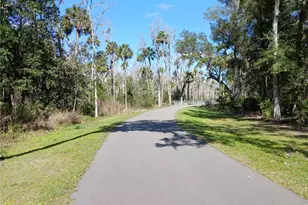 123 Arena Lake Dr, Palm Coast, FL 32137 - Photo 35