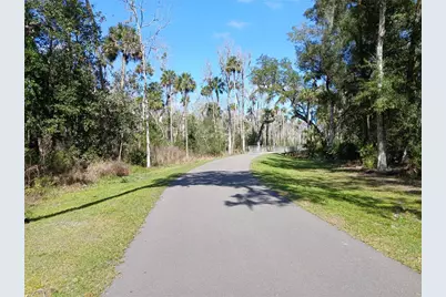 123 Arena Lake Drive, Palm Coast, FL 32137 - Photo 45