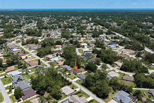 29 Princess Kim Ln, Palm Coast, FL 32164 - Photo 49
