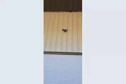 110 Opossum Lane, Bunnell, FL 32110 - Photo 47