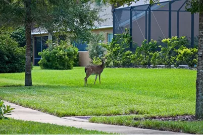 36 Old Oak Drive S, Palm Coast, FL 32137 - Photo 9