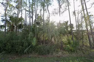 24 Pony Ln, Palm Coast, FL 32164 - Photo 1