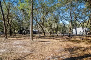 2950 Kings Rd, Saint Augustine, FL 32086 - Photo 47